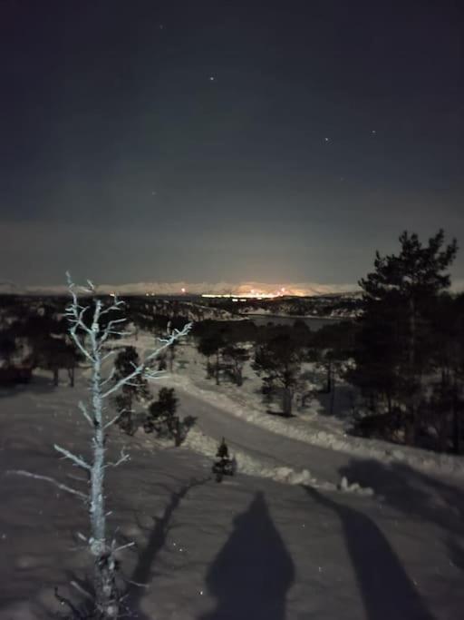 Koselig Og Moderne Leilighet, Meget Sentralt I Narvik Med Gratis Parkering! Екстериор снимка