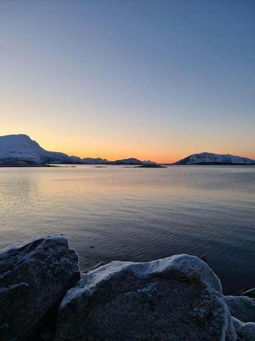 Koselig Og Moderne Leilighet, Meget Sentralt I Narvik Med Gratis Parkering! Екстериор снимка