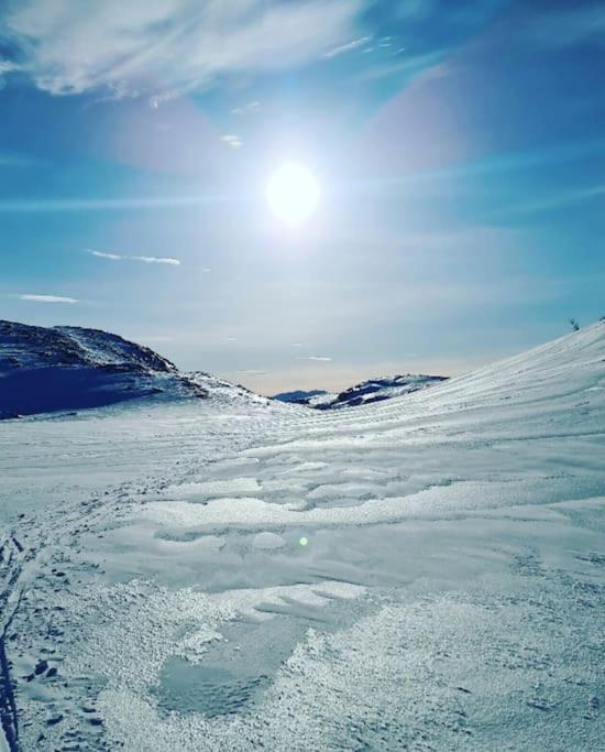 Koselig Og Moderne Leilighet, Meget Sentralt I Narvik Med Gratis Parkering! Екстериор снимка