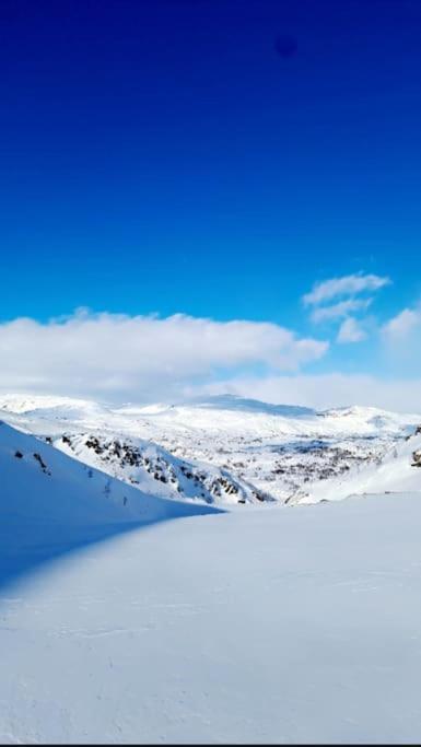 Koselig Og Moderne Leilighet, Meget Sentralt I Narvik Med Gratis Parkering! Екстериор снимка