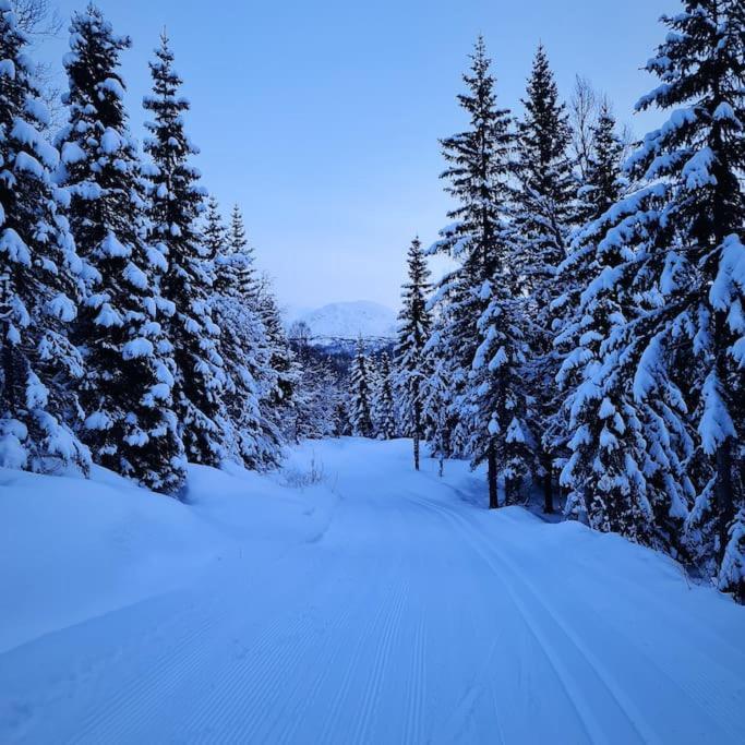 Koselig Og Moderne Leilighet, Meget Sentralt I Narvik Med Gratis Parkering! Екстериор снимка